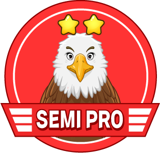 별 2개-독수리: SEMI PRO